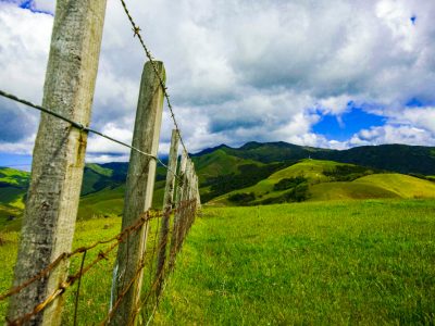 beautiful-hills-with-barbed-wire-fence-new-zealand(1)